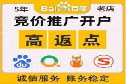 SEM账户竞价策略实战案例分析
